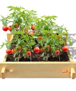 Alternative view of Explorer Gardenbed - 3 feet x 3 feet x 23 cm, Wooden planter bed for home gardening, starter kit to grow flowers, herbs, vegetables, root veggies.