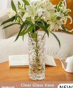 DUNISO Creative Clear Glass Vase Craft Aesthetic Decorative Small Flower Vase Hydroponic Plant Desktop Ornament Modern Irregularity Vase for Flowers Rose Home and Office