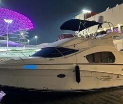 Alternative view of SILVERTON 352 2003