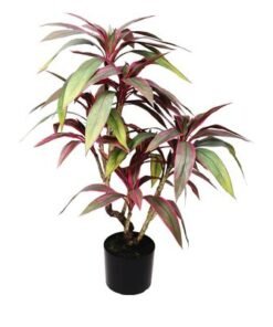 Artificial Cordyline Fruticosa Plant 90 Cm - Image 3