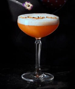 Ocean Connexion Coupe Glass - Set of 6