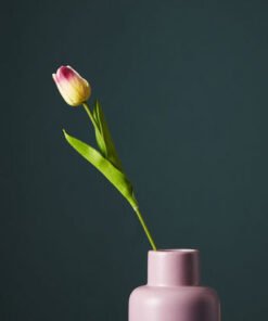 Aria Tulip Flower Stem - 36 cm