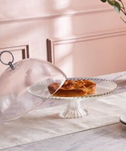 Vintage Cake Dome