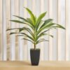 Triton Realtouch Artificial Dracaena Fragrans Plan...