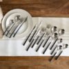 Vega 16-Piece Cutlery Set