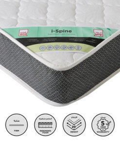 SleepEase iSpine Support Firm Rebonded Foam Queen ...