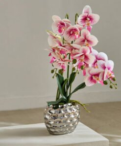 Areos Orchid Flower Arrangement with Hammered Cera...