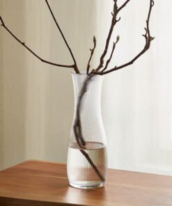 Atlanta Ribbed Clear Glass Vase - 11x30 cm