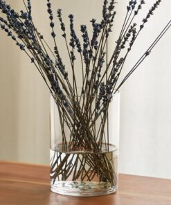 Atlanta cylindrical clear glass vase - 12.5x17.5 c...