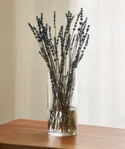 Atlanta Cylindrical Clear glass Vase - 10x23 cm