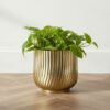 Vista Ace Premium Metal Planter - 19x19 cm