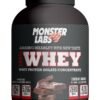 Monster Labs 100% Whey Protein, 25 Grams of Protein for Muscle Support and Recovery - Chocolate Bricks, 5lbs (76 Servings)