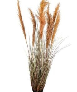 Artificial Grass Plant With Natural Dry Pampas Grass Branches 1.8 Meters - Image 3