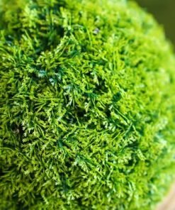 Artificial Topiary Ball-With Led Solar Light-28 Cm - Image 4