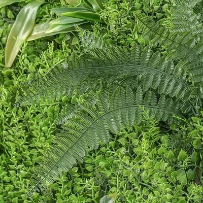 Artificial Fence 100X200Cm-Deluxe Fern