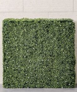 Alternative view of Artificial Hedge-Boxwood