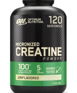 Optimum Nutrition Micronized Creatine Monohydrate Powder for Muscle Building Support - Unflavored, 600 Grams, 120 Servings