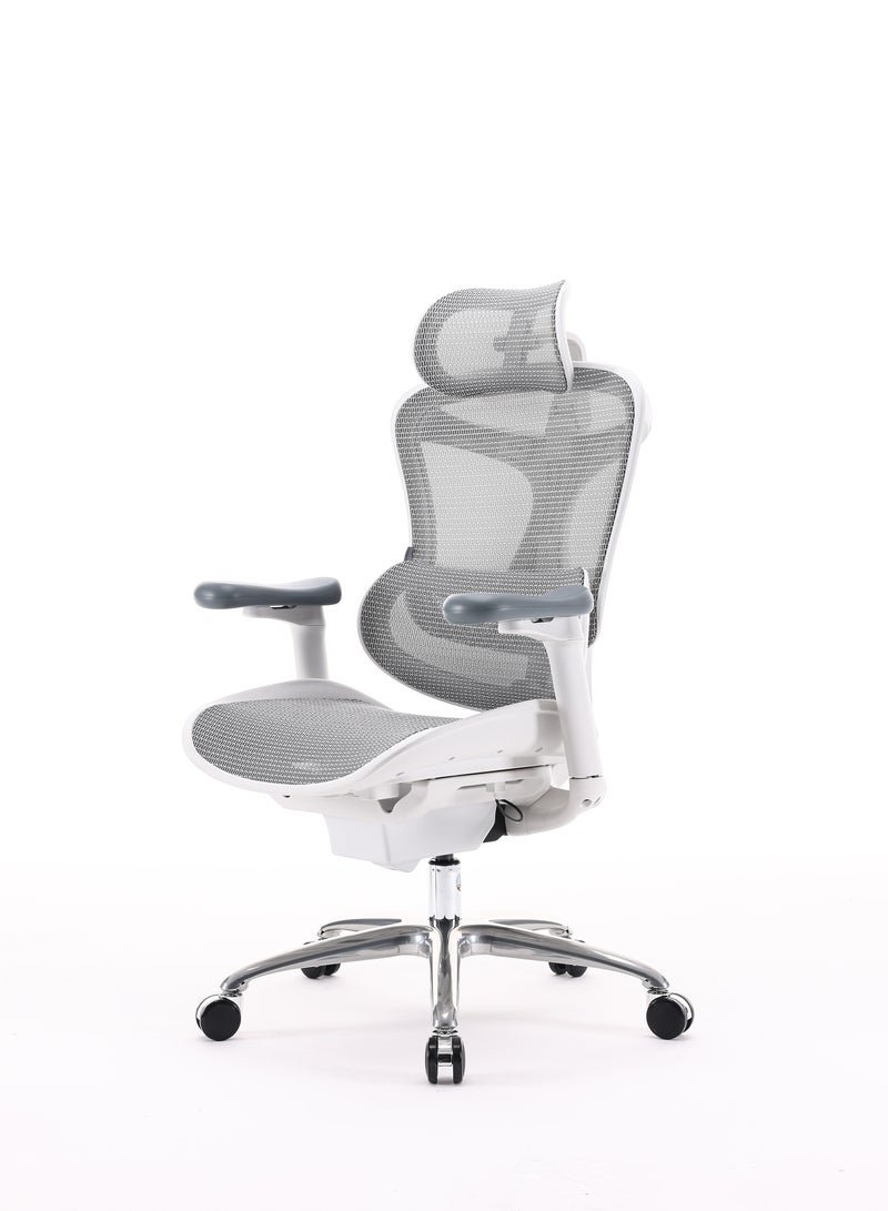 SIHOO Doro C100-B101 Ergonomic Gaming/Office Chair with Ultra Soft 3D Armrest, Dynamic Lumbar Support, Adjustable Backrest, Swivel, Light Grey - Image 3