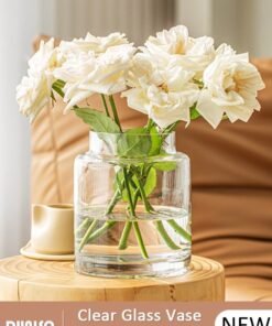 DUNISO Creative Clear Glass Vase Craft Aesthetic Decorative Small Flower Vase Hydroponic Plant Desktop Ornament Modern Irregularity Vase for Flowers Rose Home and Office