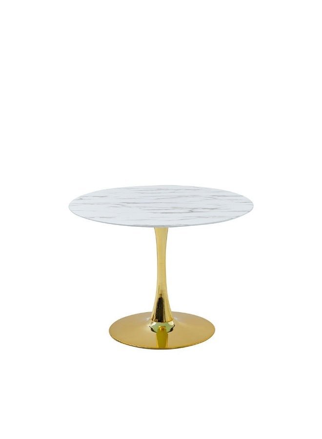DANUBE HOME Niha 4 Seater Round Glass Dining Table Strong And Sturdy Modern Design Desk Furniture Modern Kitchen Table With Metal Base 4 Seaters Dinner Table For Home Dining Room Living Room Kitchen - White Gold