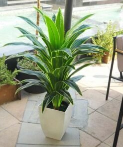 Schondor -Outdoor Coffee set-Philadelfia- 55x55x45- Aluminum- Black frame- Red