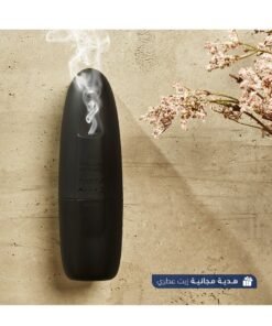 Aromatic Air Perfuming Diffuser AF90 Plastic Black100 ml