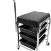 Rolling Cart Professional Manicure Pedicure Carriage Rolling Stool with Drawers Beauty Salon Trolley Chair Stool Black Salon Furniture