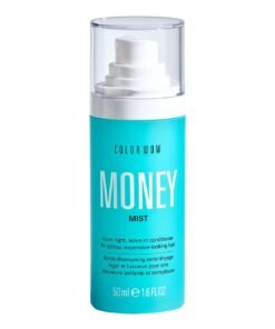 Travel Money Mist