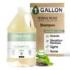 Terra Pure Hotel Shampoo  1 Gallon  For Hospitality  Vacation Rentals to Refill Dispensers  Single Gallon