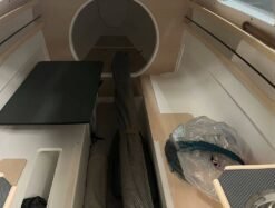 Alternative view of DRAGONFLY 25 2024