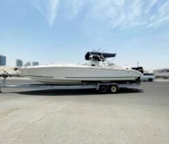 Alternative view of AL DHAEN 36 Sf 2009