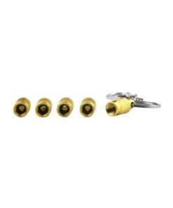 Portable 5 in 1 Tire Deflator Tool with Valve Cap Keychain