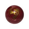 SG Everlast Tec Cricket Ball (Believe.Become)