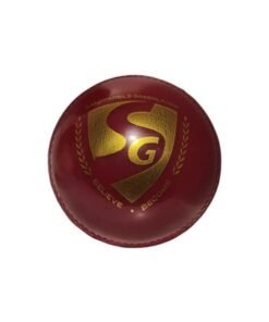 SG Everlast Tec Cricket Ball (Believe.Become)