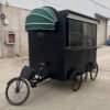 2025  Hot Selling  Factory Outlet  Multipurpose Mobile  Fast Food Snack Beverage Drinks Pedal Bicycle Tricycle