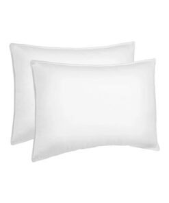 REGAL IN HOUSE 2-Piece Soft Hotel Pillow microfiber White 140x50cm