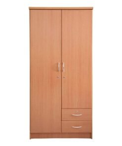 Two Door Wooden Cabinets Brown