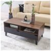 DANUBE HOME Jilly 2 Drawer Coffee Table Multifunctional Living Room Desk Space Saving Center Table Modern Design Furniture For Home Living Room L 110 x W 55 x H 47 cm Columbia/Black