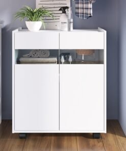DANUBE HOME Banette 2 Door Laundry Cabinet 2 Tier Modern Design Wooden Laundry Organiser Cupboard Space Saving Display Storage Rack For Home White
