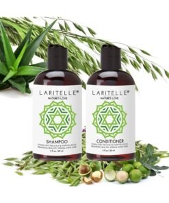 Laritelle Organic Travel Size Shampoo 2 oz + Travel Size Conditioner 2 oz | Organic Quinoa + Keratin + Follicle Stimulating Rosemary, Ginger & Grapefruit | NO GMO. Vegan
