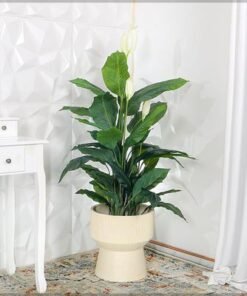 Plant Pot, Ribbed Texture & Pedestal Base Planter Pot with Drainage Hole, Lightweight & Weather-Resistant Garden Pot, Ribbed Texture & Pedestal Base Flower Pot for Home Patio Event (Large) - Image 2