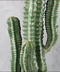 Artificial Cactus Plant, Realistic Green Succulent Fake Plants with Pot, Maintenance-Free, Waterproof & UV Resistant Decorative Faux Plant for Indoor & Outdoor Home, Office, Event Decor (160cm)