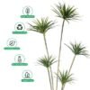 7ft Tall Artificial Dracaena Tree, Nearly Natural Artificial Plants with Pots, Maintenance-Free & UV Resistant Fake Plants, Long-Lasting Faux Plants for Home, Office, Patio, Balcony Decor