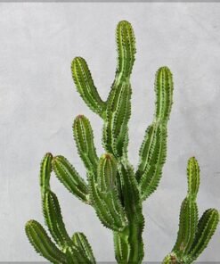 Artificial Cactus Plant, Realistic Spiky Design Fake Plants with Durable Waterproof Pot, UV Resistant & Maintenance-Free Floor Plant, Odor-Free Faux Plants for Home Office Event Garden (96cm)