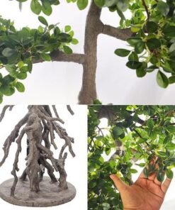 Artificial Bonsai Tree with Exposed Root, Highly Realistic Green Leaves Fake Plants with Durable Base, Maintenance-Free, UV Resistant Faux Plants for Home Office Garden & Commercial Use (171cm) - Image 5