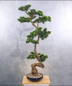 Artificial Bonsai Tree, Realistic Japanese Zen Pine Faux Tree with Green Leaves & Pot, Maintenance-Free & Long Lasting Water-Resistant & Odorless Fake Plant for Home Office Event Decor (115cm) - Image 3