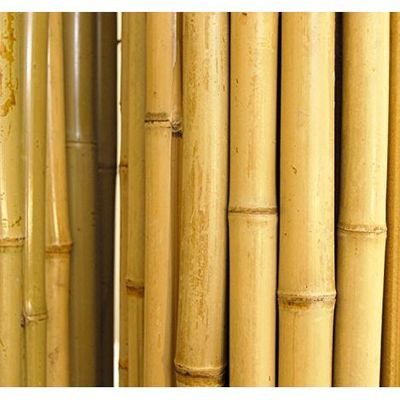 Egardenkart® Natural Rolled Bamboo Fence Thick Natural Privacy Fence (300, 150) - Image 3