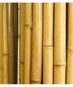 Egardenkart® Natural Rolled Bamboo Fence Thick Natural Privacy Fence (300, 250) - Image 3