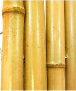 Egardenkart® Natural Rolled Bamboo Fence Thick Natural Privacy Fence (300, 250)