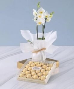 2 Stem White Orchid Plant and Ferrero Rocher 24pcs